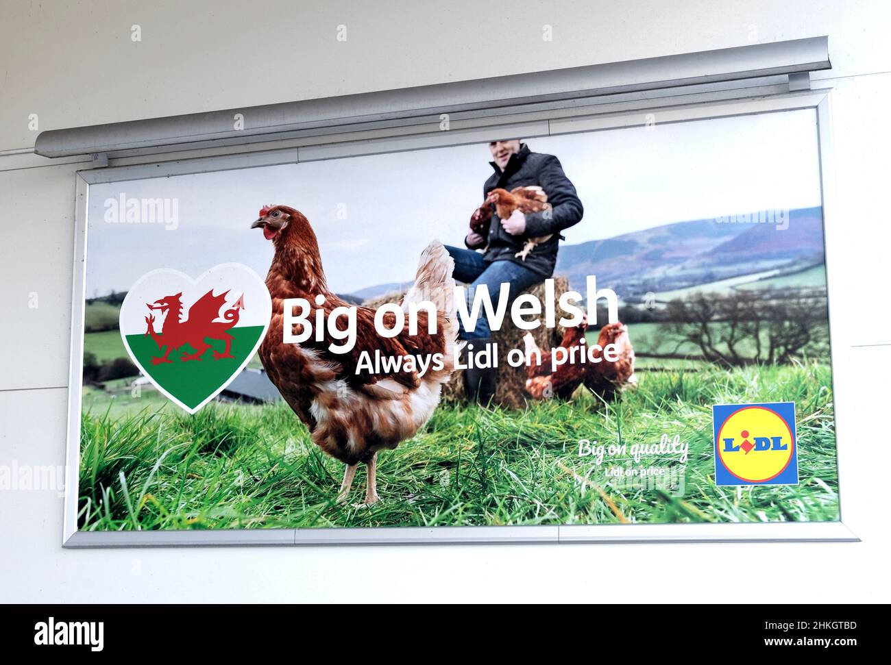 Lidl Supermarkt Kampagne Plakat Logo Schild Plakatwand mit Landwirt, Henne und Welsh Dragon Anzeige vor dem Geschäft im Frühjahr Februar 2022 Wales Großbritannien Stockfoto