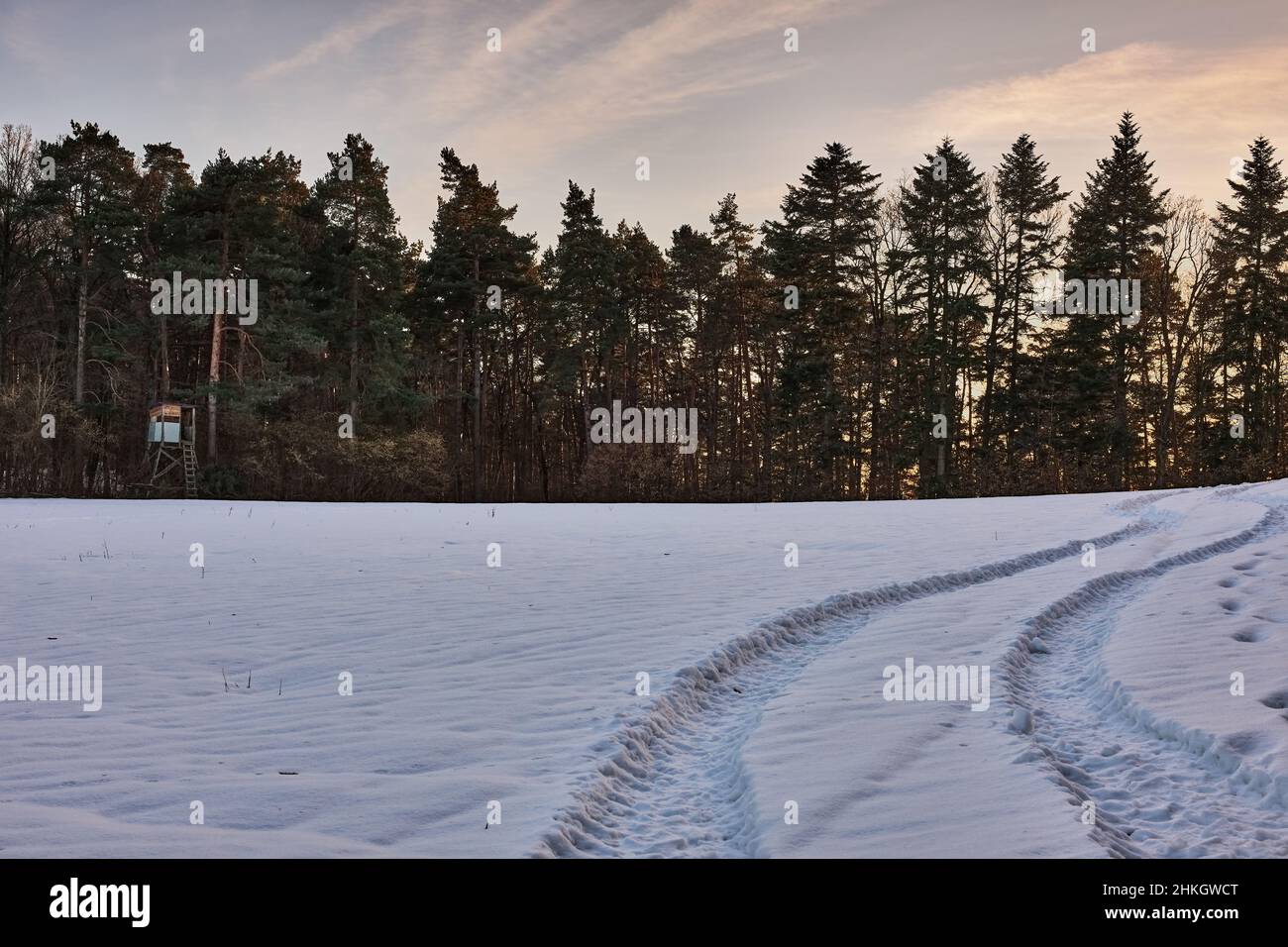 Winterlandschaft mit Nadelbäumen und Jagdverstecke bei Sonnenuntergang. Weg, der in den Wald führt. Natürlicher Hintergrund, Tapete. Vrsatec, Slowakei. Stockfoto