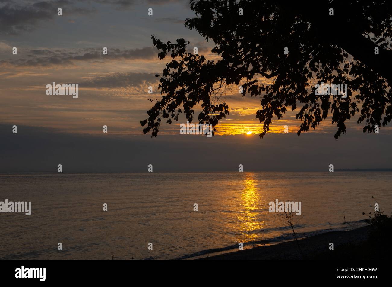 Baum Äste und Blätter Silhouetten gegen Sonnenuntergang Sonne über dem See reflektieren goldenes Licht auf das Wasser des Lake Ontario Kanada malerische Landschaft Stockfoto