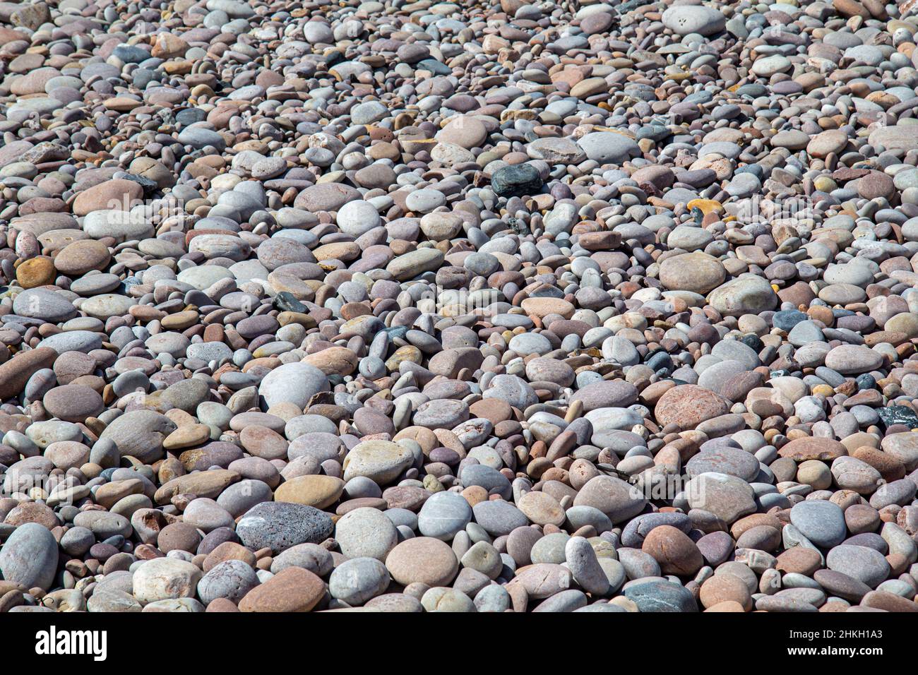 Nahaufnahme von vielen runden und flachen Kieselsteinen am Strand. Kieselsteine in verschiedenen Farben am Strand. Stockfoto