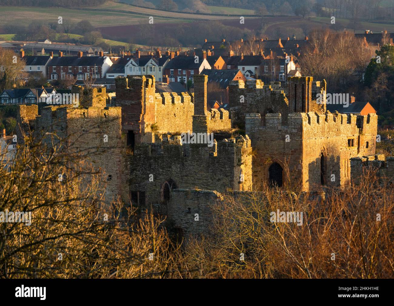 Morgenlicht auf Ludlow Castle, Shropshire. Stockfoto
