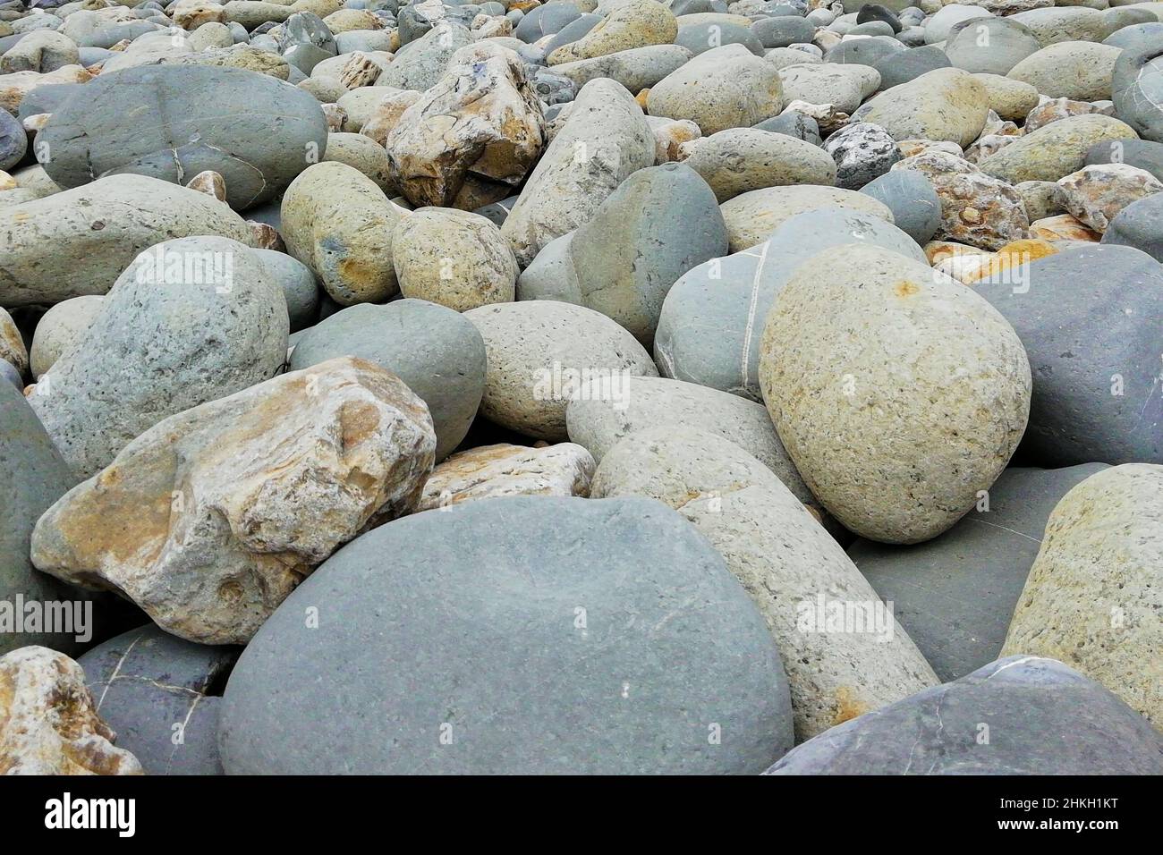 Nahaufnahme von vielen runden und flachen Kieselsteinen an einem Strand mit großen im Vordergrund und kleineren im Hintergrund. Stockfoto