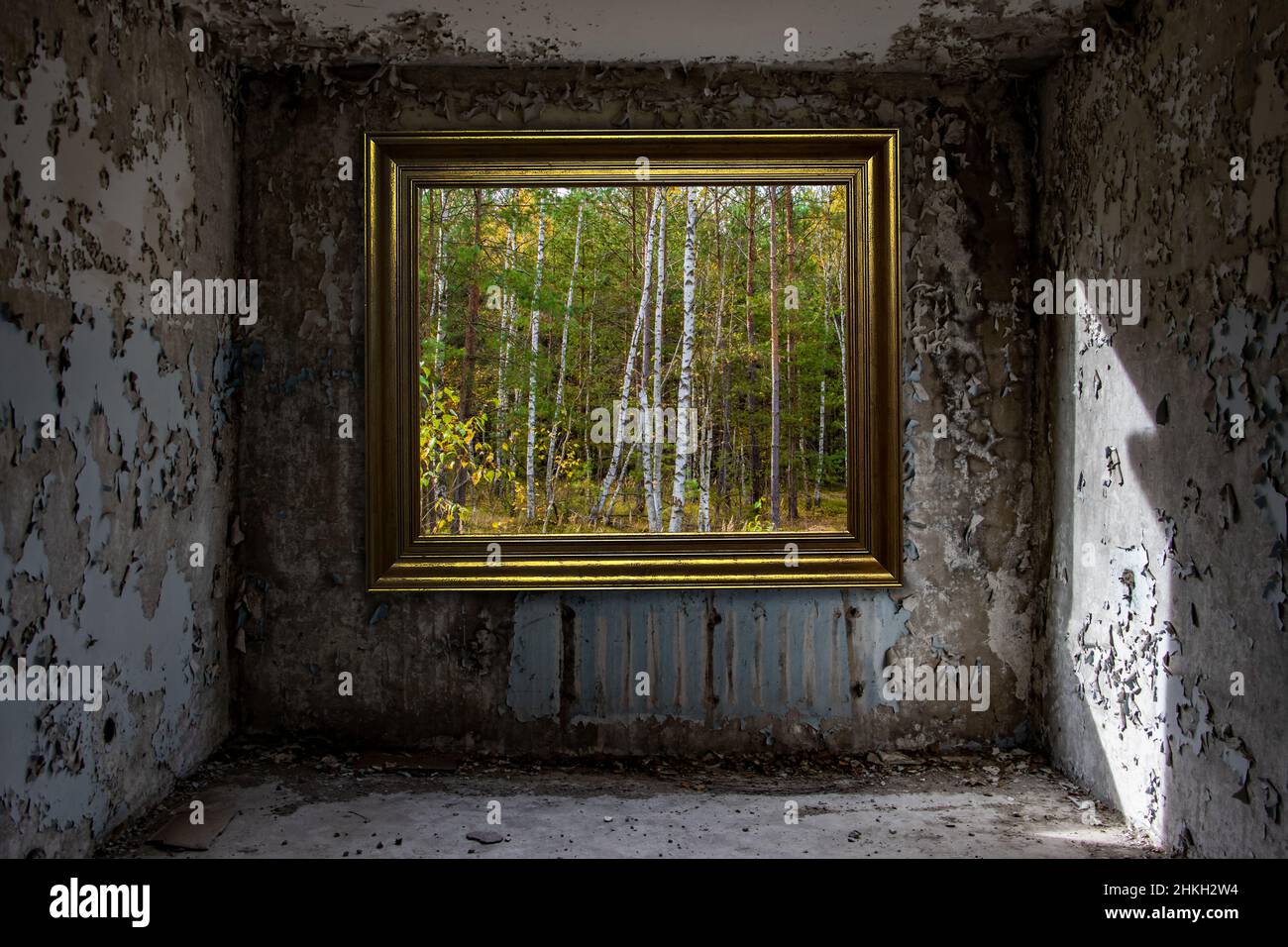 Der Blick auf einen Wald in einem Bilderrahmen an der Wand in einem verlassenen, beschädigten Raum. Stockfoto
