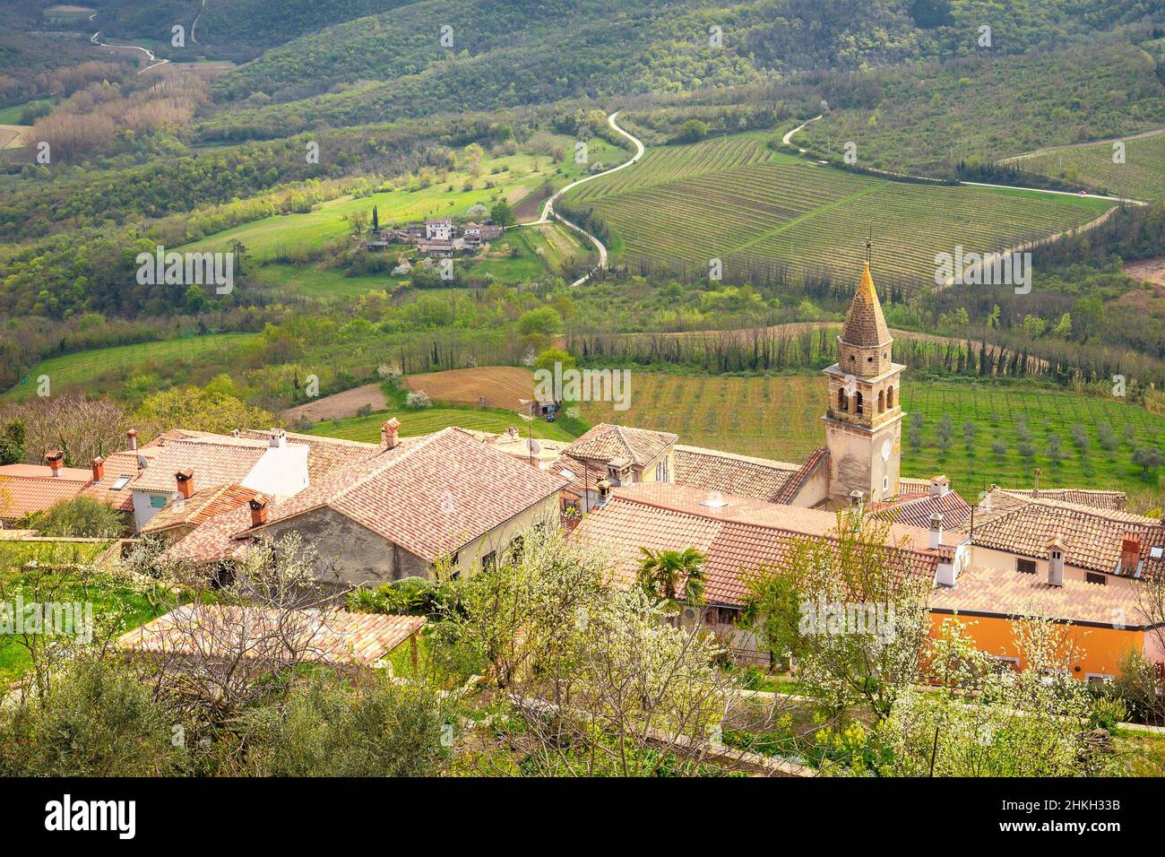 Alte mediterrane Stadt Motovun mit der umliegenden Landschaft auf der Halbinsel Istrien, Kroatien, Europa. Stockfoto
