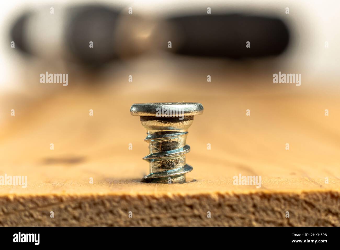 Nahaufnahme der Schraube, die in eine Holzdiele geschraubt wird - Makroaufnahme - elektrischer Schraubendreherhintergrund. Stockfoto