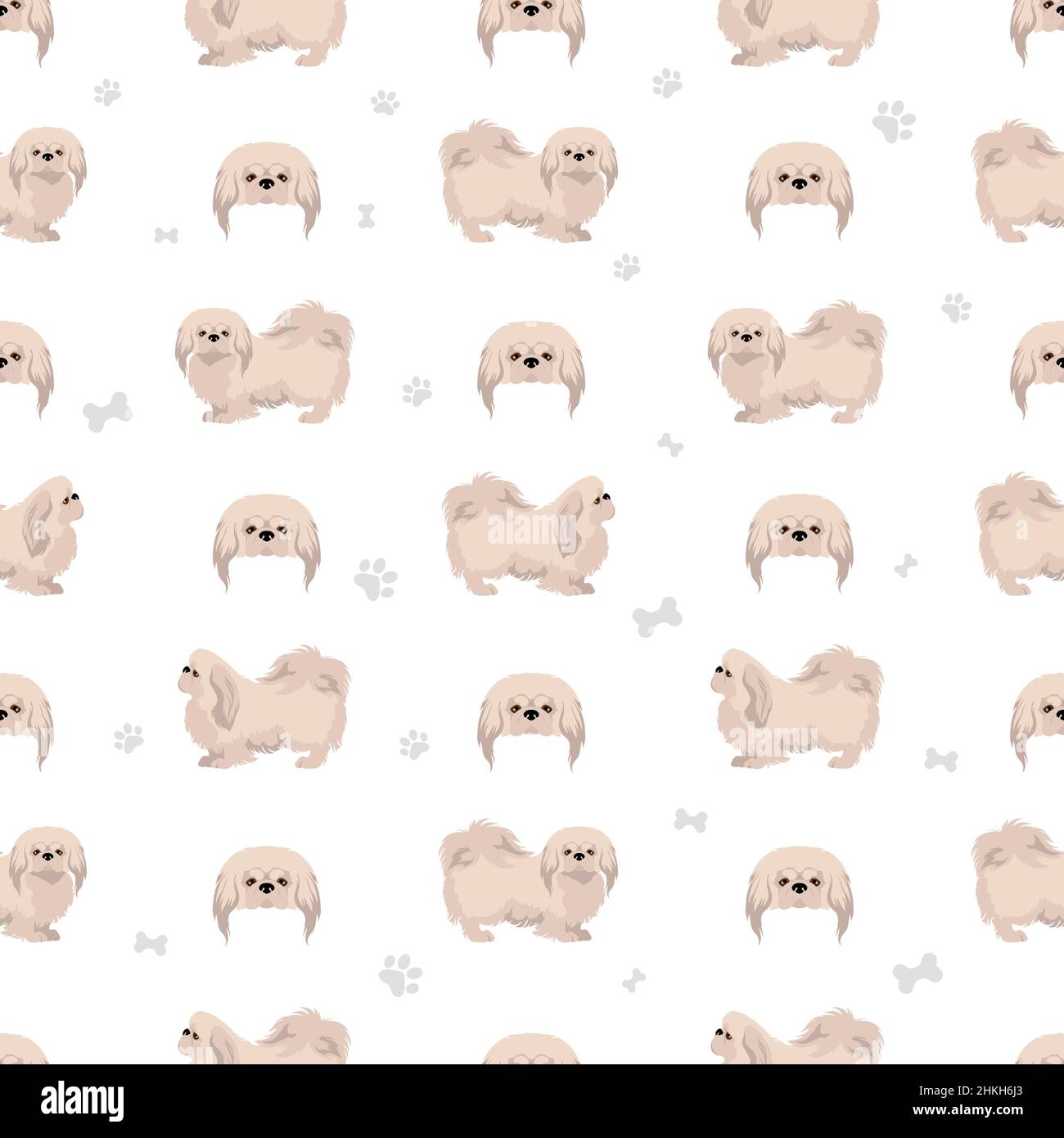 Pekingese Hund nahtlose Muster. Verschiedene Posen, Fellfarben eingestellt. Vektorgrafik Stock Vektor