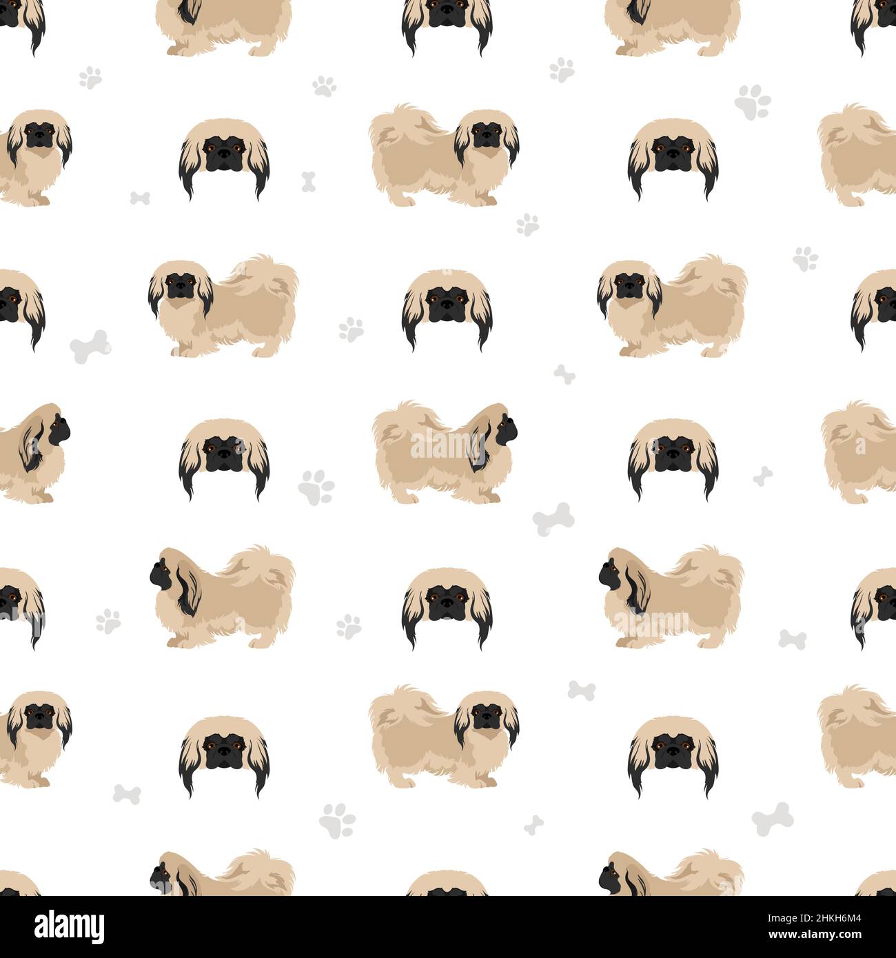 Pekingese Hund nahtlose Muster. Verschiedene Posen, Fellfarben eingestellt. Vektorgrafik Stock Vektor