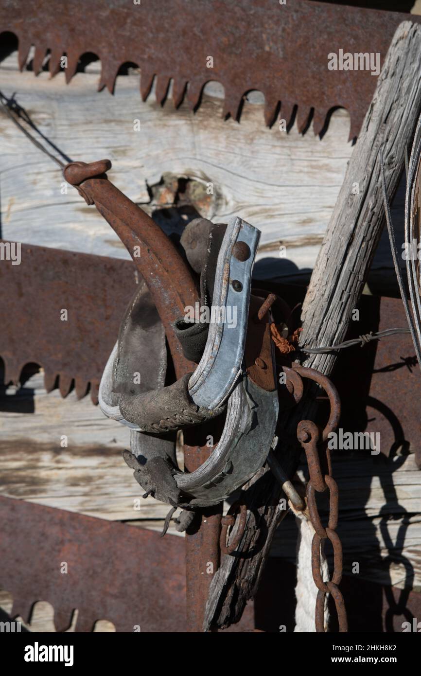 Alte Landmaschinen rostige Sägeblätter und alte hölzerne Vintage Western Cowboy Sattelbügel als Scheune Dekor auf einem kleinen Hobby Bauernhof im ländlichen Westen Kanadas Stockfoto