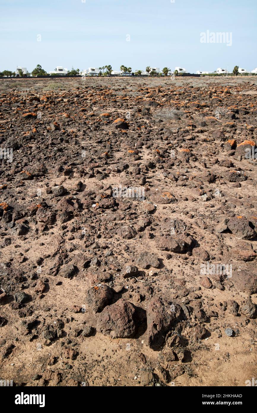 Vulkanische Steinfelsen Baugrundstück in playa blanca Lanzarote Kanarische Inseln Spanien Stockfoto