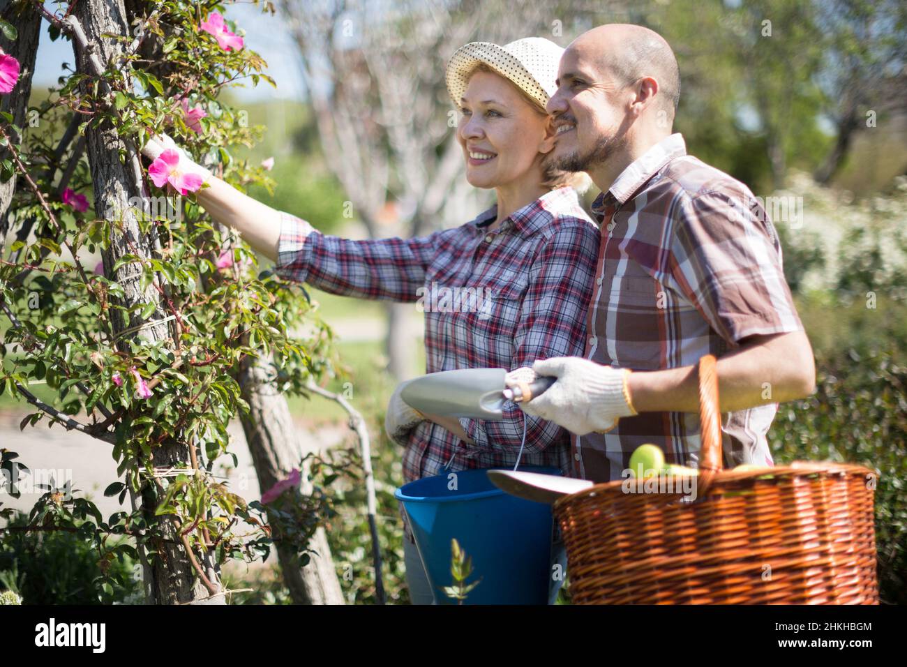 Familienarbeit im Garten. Frau und Mann wachsen Rosen Stockfoto