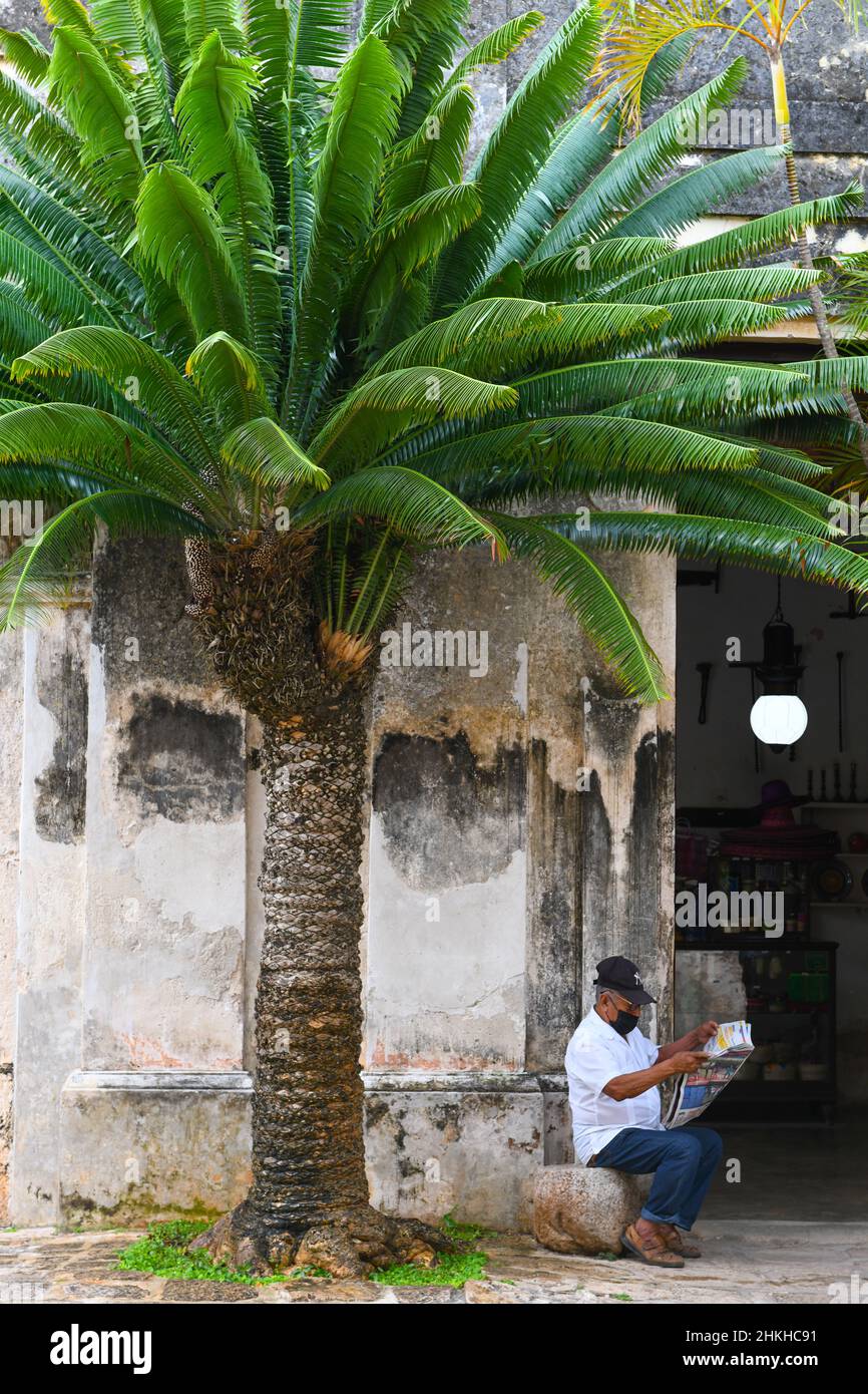 Alter Mann, der eine Zeitung liest, Hacienda Yaxcopoil, Yucatan, Mexiko Stockfoto