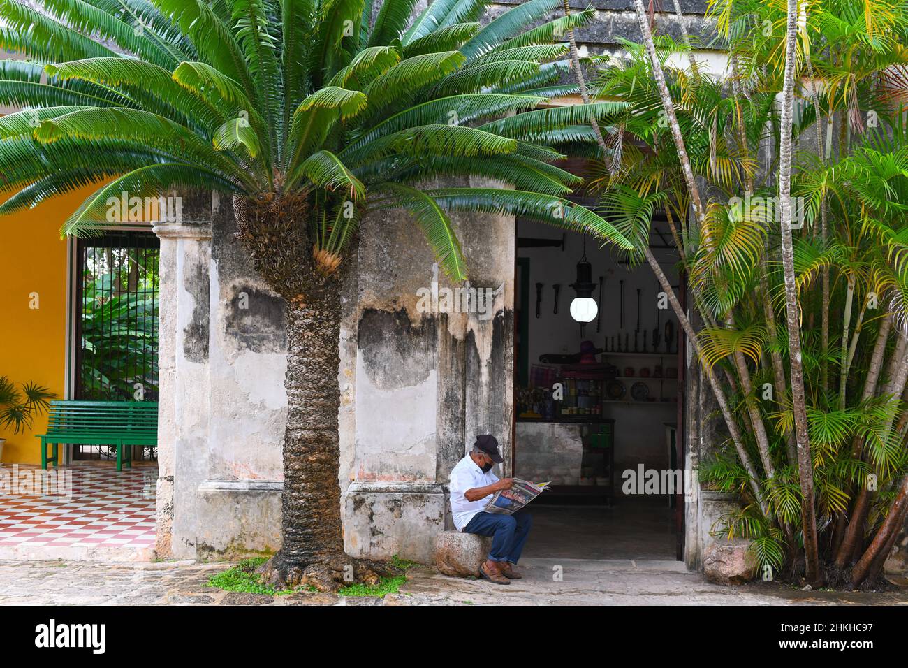 Alter Mann, der eine Zeitung liest, Hacienda Yaxcopoil, Yucatan, Mexiko Stockfoto