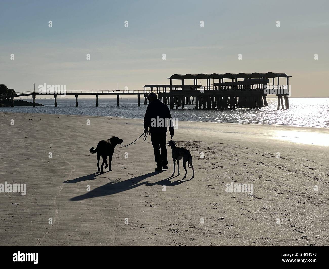 Ein älterer Mann geht mit seinen Hunden am Strand in der Nähe des Piers auf Jekyll Island, Georgia, USA, einem beliebten Luxus-Ziel für langsame Reisen. Stockfoto