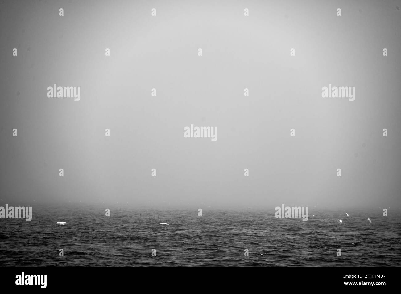 Hummerfalle-Boje schwimmt auf einem abgehackten Ozean im Atlantischen Ozean Stockfoto