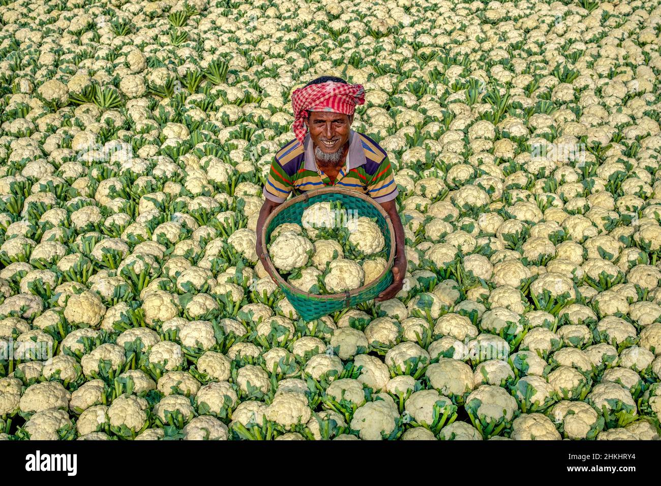 Die Bauern haben Blumenkohl auf einem Markt verkauft Stockfoto