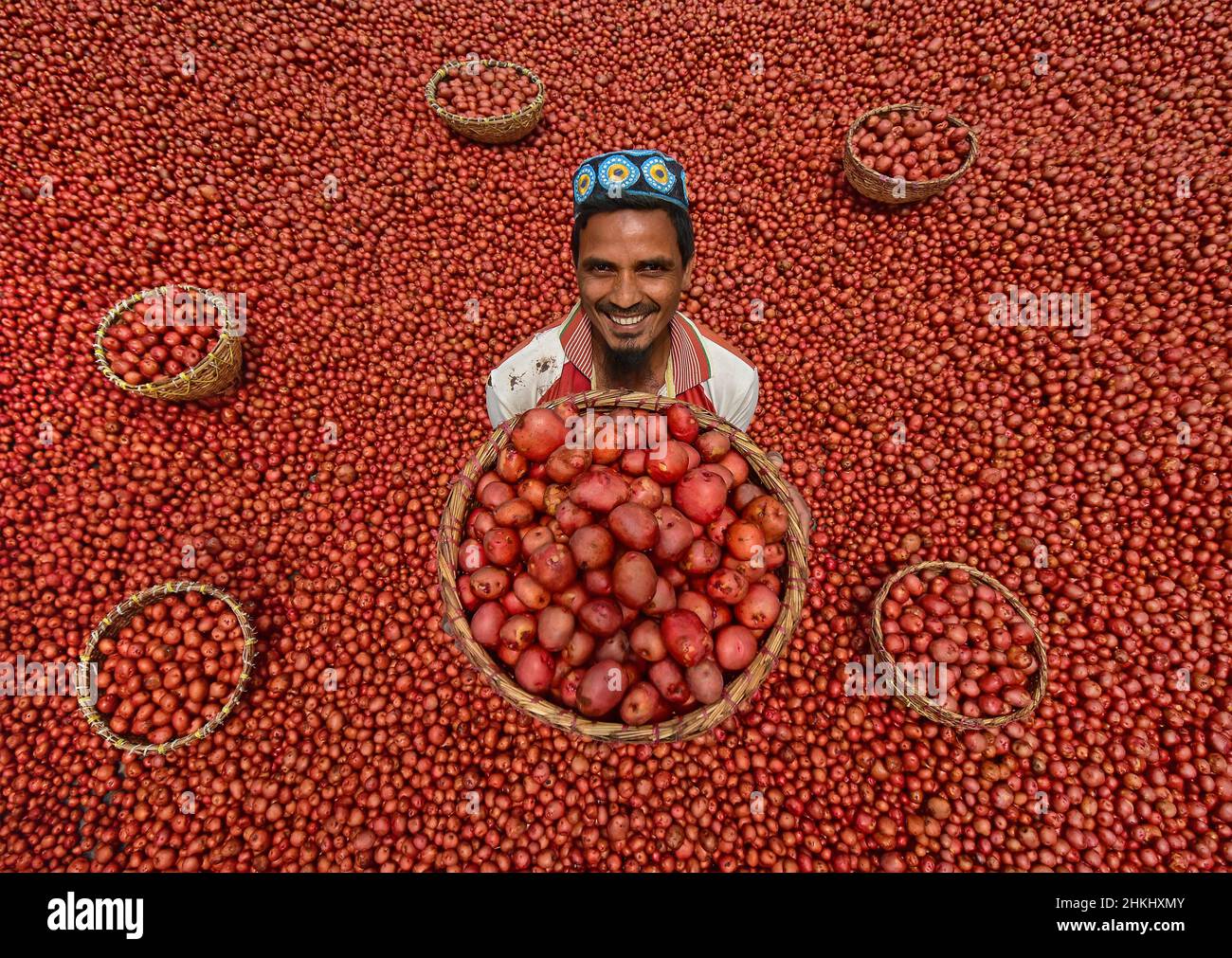Auf einem Gemüsemarkt werden Tausende von leuchtend roten Kartoffeln gewaschen und sortiert. Stockfoto