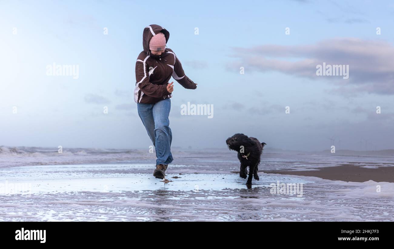 Ein Teenager-Mädchen und ein schwarzer Hund Labradoodle laufen im seichten  Wasser am Strand von Haarlem Amsterdam, Niederlande, Januar 2022  Stockfotografie - Alamy
