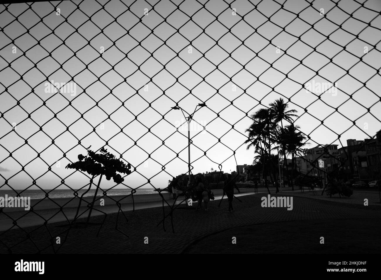 Gittersilhouette, Draht, Bäume und Pfosten gegen gelben und blauen Sonnenuntergang. Salvador, Bahia, Brasilien. Stockfoto