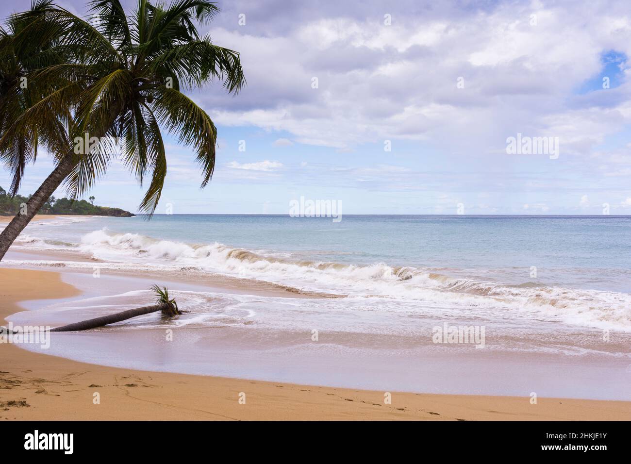 Strand Grande Anse, Deshaies, Basse-Terre, Guadeloupe Stockfoto