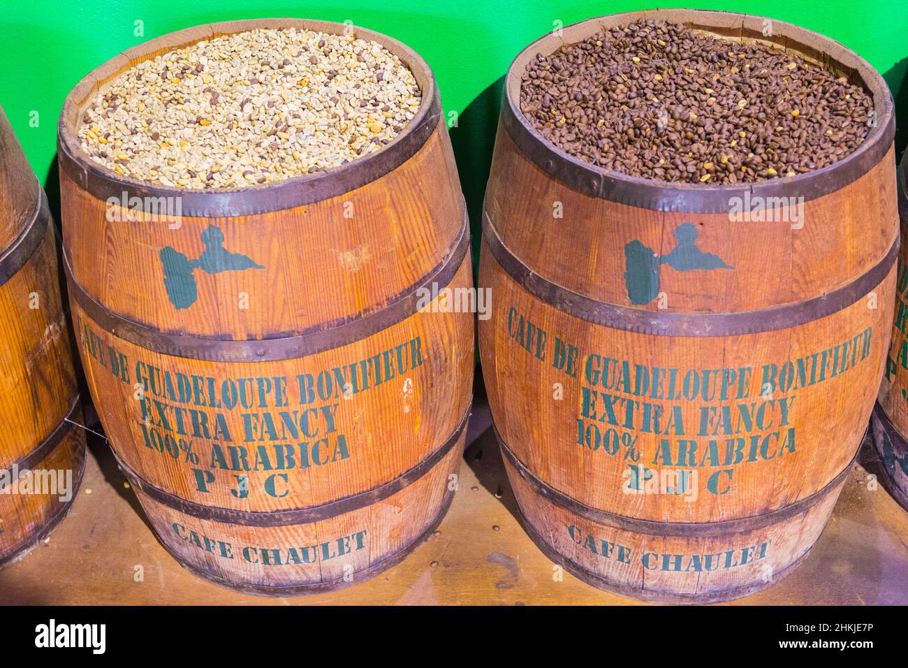 Kaffeebohnen in einer Plantage, Basse-Terre, Guadeloupe Stockfoto