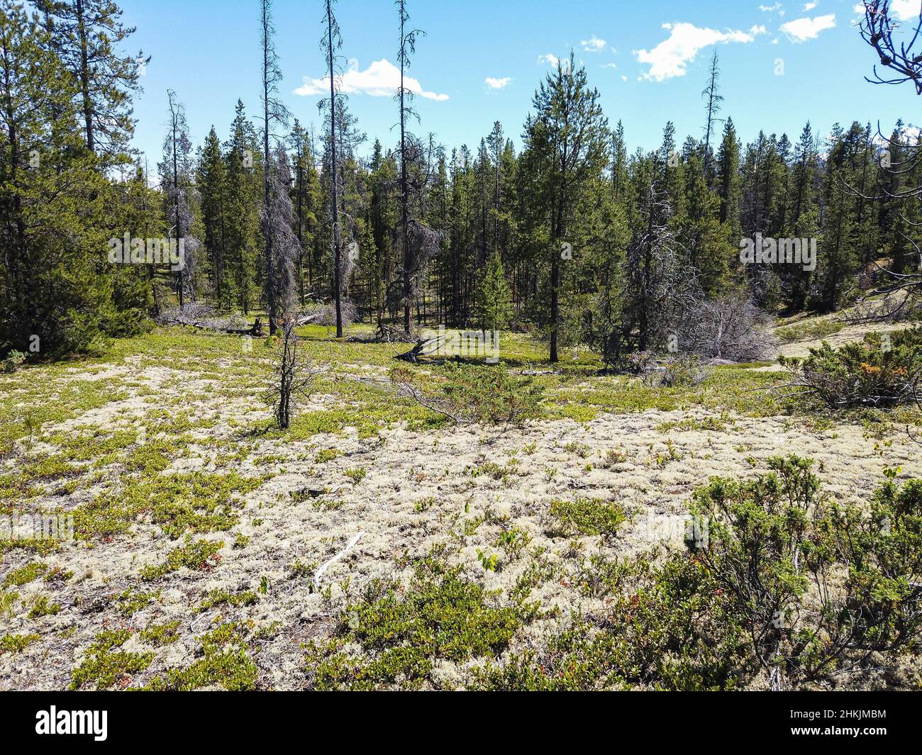 Jackman wohnungen provincial park Fotos und Bildmaterial in hoher