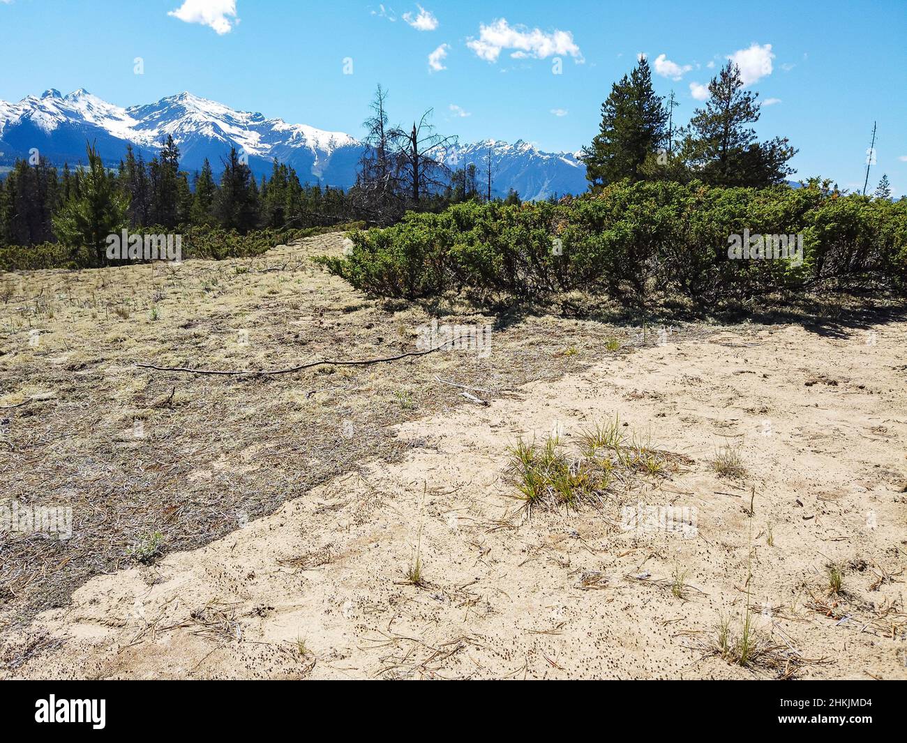 Jackman wohnungen provincial park Fotos und Bildmaterial in hoher