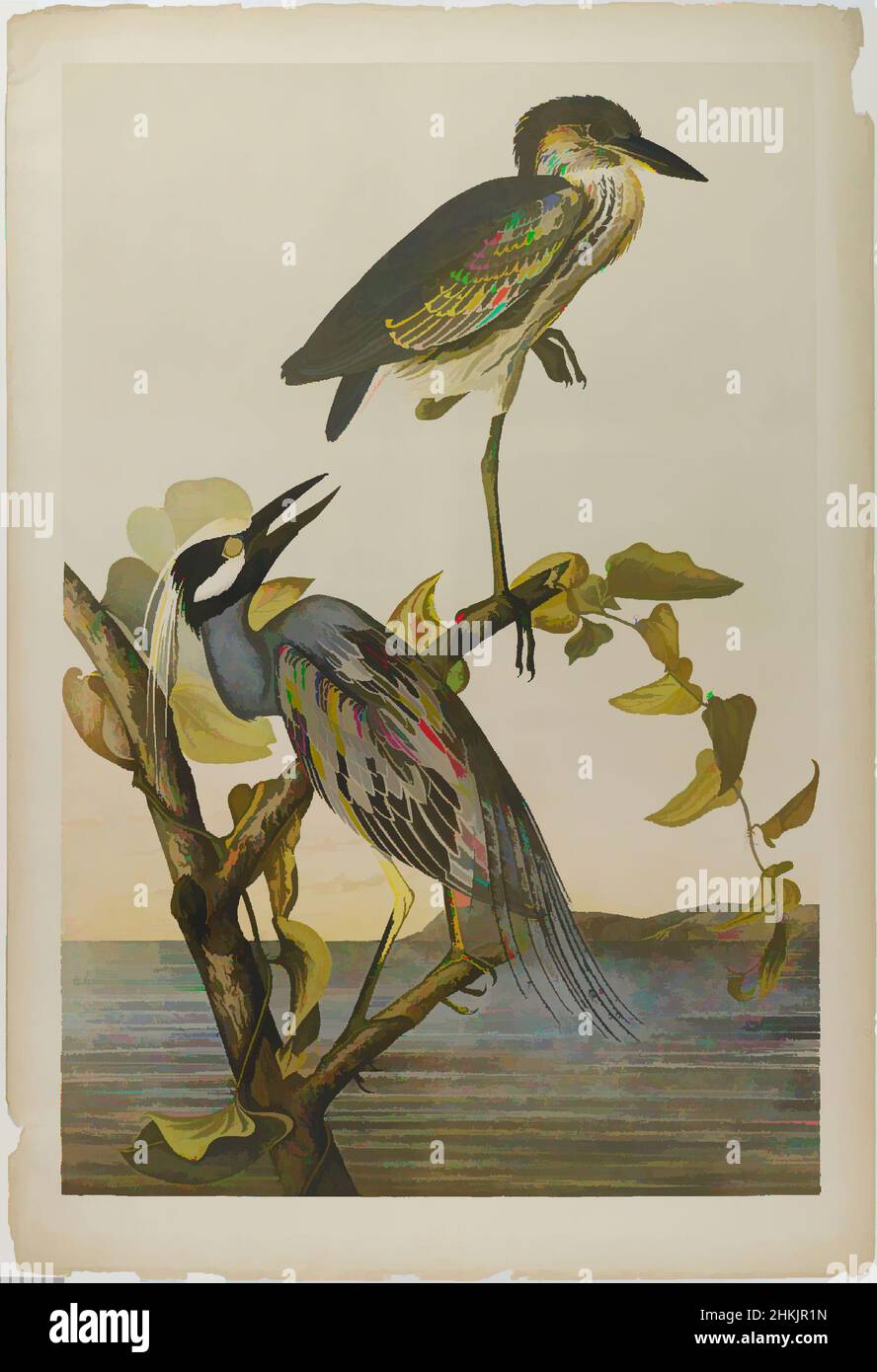 Kunst inspiriert von Yellow-Crowned Heron, John James Audubon, Amerikaner, geboren Haiti, 1785-1851, Chromolithographie, 1861, aquatisch, Ardea violacea, Zweige, Flora, Naturkunde, Ornithologie, Baum, Wasser, Feuchtgebiete, Classic Works modernisiert von Artotop mit einem Schuss Moderne. Formen, Farbe und Wert, auffällige visuelle Wirkung auf Kunst. Emotionen durch Freiheit von Kunstwerken auf zeitgemäße Weise. Eine zeitlose Botschaft, die eine wild kreative neue Richtung verfolgt. Künstler, die sich dem digitalen Medium zuwenden und die Artotop NFT erschaffen Stockfoto