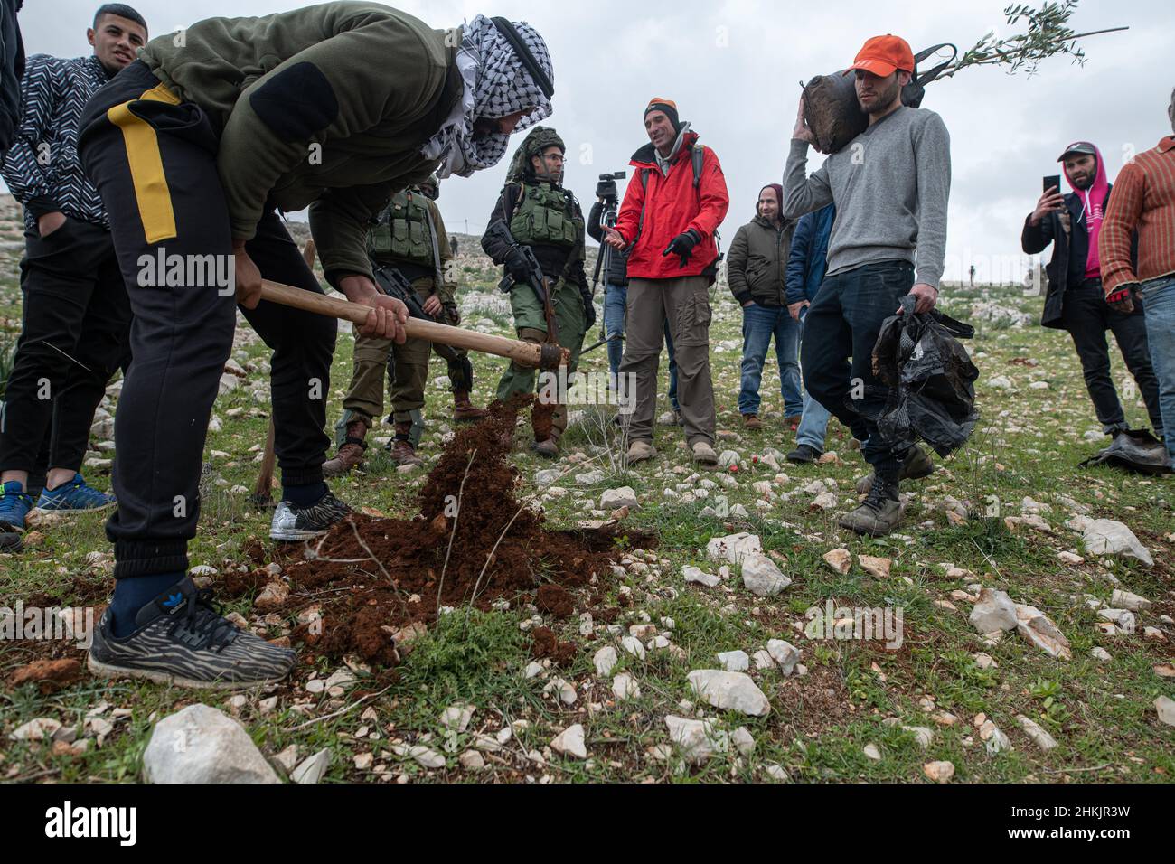 Burin, Palästina. 04th. Februar 2022. Hunderte von israelischen und palästinensischen Friedensaktivisten hatten im palästinensischen Dorf Burin, unterhalb des jüdischen illegalen Außenpostens von Givát Ronen, Olivenbäume gepflanzt. Zwei Wochen vor der Veranstaltung wurde eine Gruppe jüdischer Friedensaktivisten, die zur Olivenplantage eintrafen, von der Jugend von Givát Ronen gewaltsam angegriffen. Heute hatten sich die IDF-Truppen zwischen den Aktivisten und den Siedlern getrennt. Ein israelischer Aktivist wurde während der Veranstaltung verhaftet. Burin, Palästina. Februar 04th 2022. (Foto von Matan Golan/Alamy Live News) Quelle: Matan Golan/Alamy Live News Stockfoto