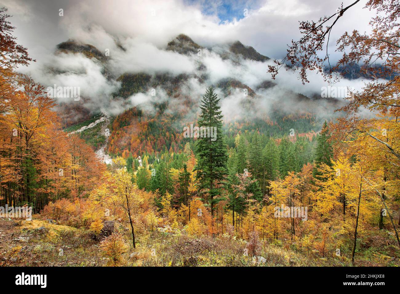 Herbst im Nationalpark Triglav, Slowenien, Nationalpark Triglav, Kansjka gora Stockfoto