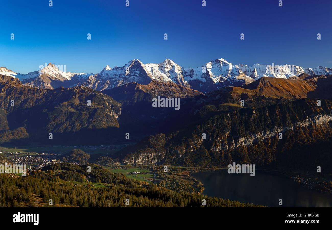 Blick vom Niederhorn auf die Berner Alpen mit Eiger, Mönch und Jungfrau, Schweiz, Berner Oberland Stockfoto