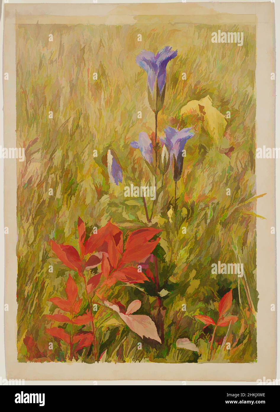 Von Enzianern mit Fransen inspirierte Kunst, John Henry Hill, Amerikaner, 1839-1922, Aquarell mit Graphitstift-Unterzeichnung auf Papier, ca. 1867, 10 1/8 x 7 1/8 Zoll, 25,7 x 18,1 cm, 19th Jahrhundert, amerikanisch, Zeichnung, Feld, Blume, Blumen, gefranste Enziane, Enziane, Graphit, Graphitstift, Classic Works modernisiert von Artotop mit einem Schuss Moderne. Formen, Farbe und Wert, auffällige visuelle Wirkung auf Kunst. Emotionen durch Freiheit von Kunstwerken auf zeitgemäße Weise. Eine zeitlose Botschaft, die eine wild kreative neue Richtung verfolgt. Künstler, die sich dem digitalen Medium zuwenden und die Artotop NFT erschaffen Stockfoto