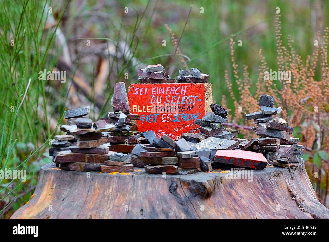 Stein mit Botschaft auf einem Baumschnäpfel, Deutschland, Nordrhein-Westfalen Stockfoto