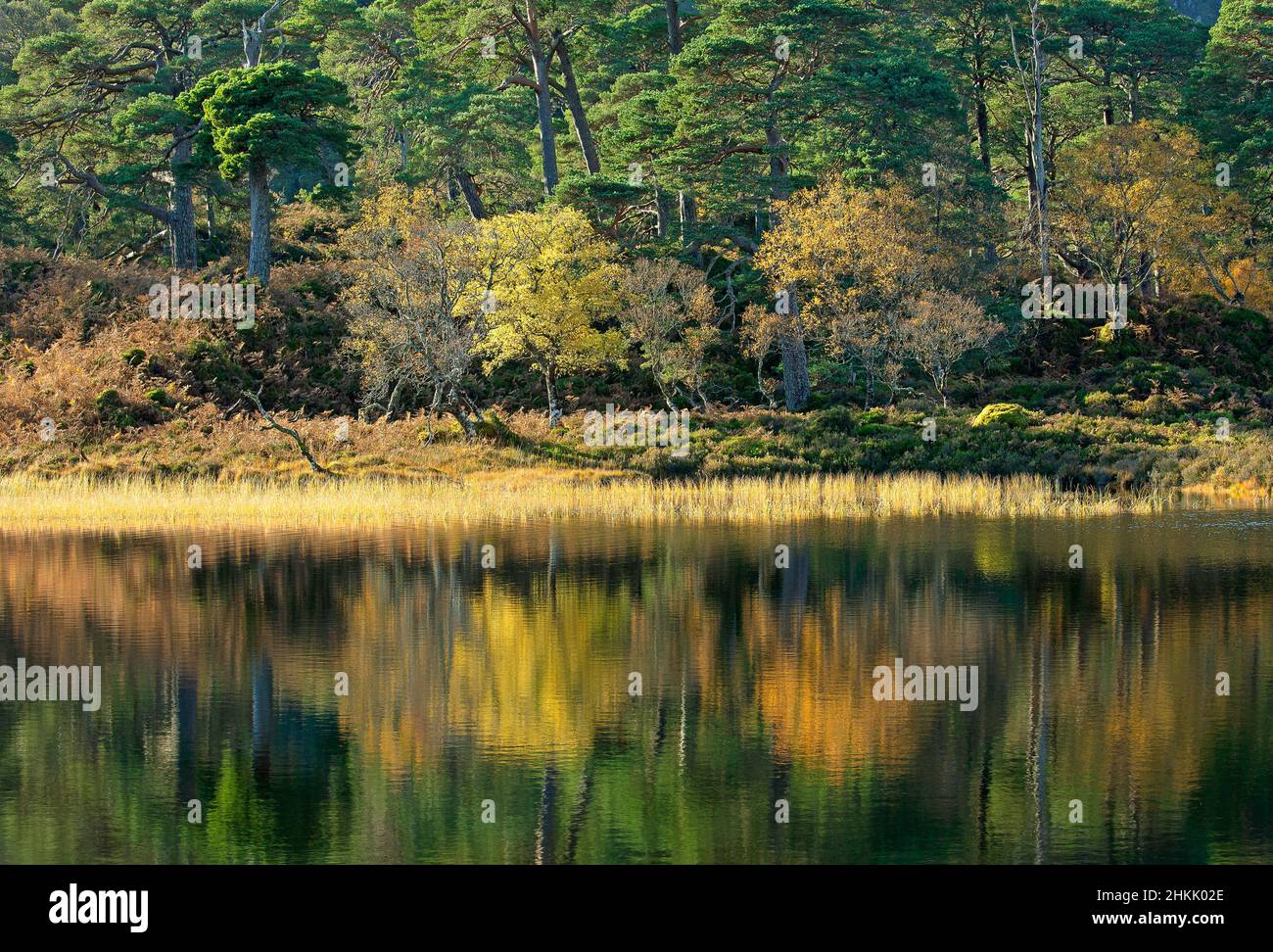 Herbst in den schottischen Highlands, Großbritannien, Schottland, Highland, Glencoe Stockfoto