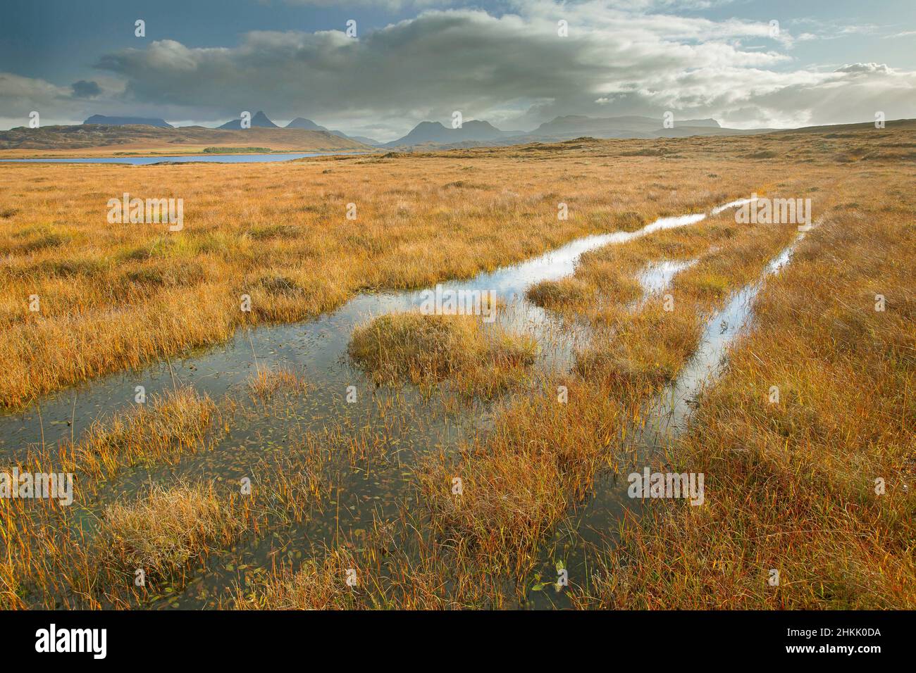 Herbst in Forsinard fließt Naturgebiet, Vereinigtes Königreich, Schottland, Highland, Achiemore Stockfoto