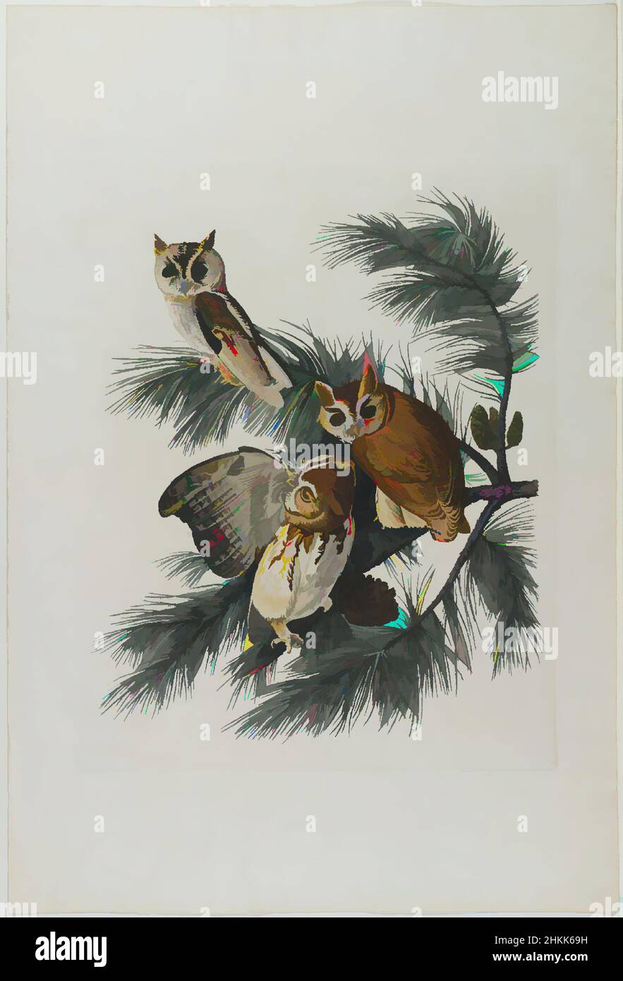 Kunst inspiriert von Melange Eule, Aquatint, ca.: 27 x 40 Zoll, 68,6 x 101,6 cm, Vögel, immergrün, Fauna, Flora, Naturstudie, Ornithologie, Kiefer, Kiefernzapfen, Gefieder, Klassische Werke, die von Artotop mit einem Hauch von Moderne modernisiert wurden. Formen, Farbe und Wert, auffällige visuelle Wirkung auf Kunst. Emotionen durch Freiheit von Kunstwerken auf zeitgemäße Weise. Eine zeitlose Botschaft, die eine wild kreative neue Richtung verfolgt. Künstler, die sich dem digitalen Medium zuwenden und die Artotop NFT erschaffen Stockfoto