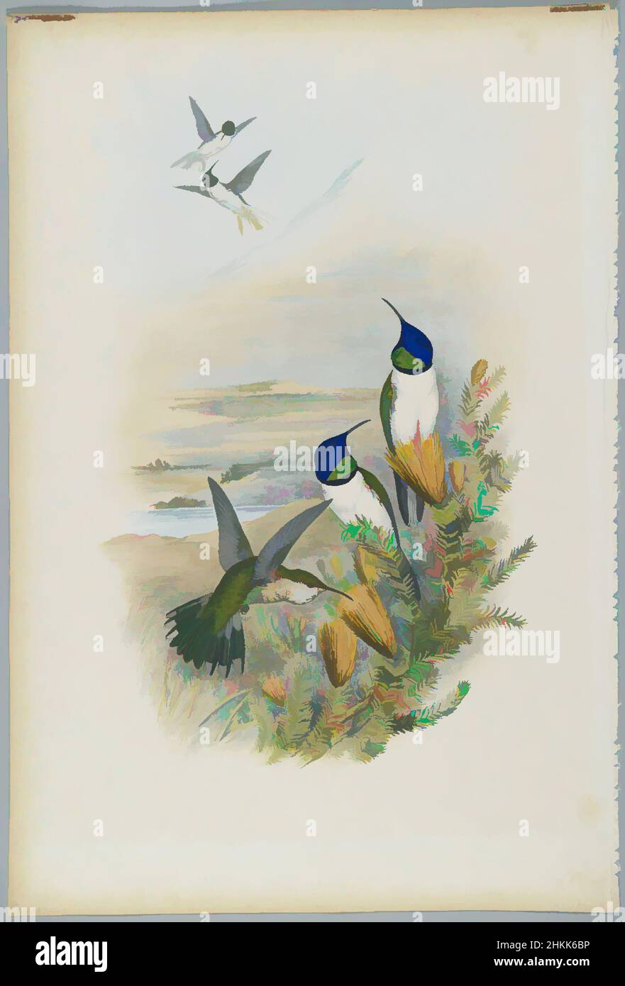 Kunst inspiriert von Oreotrochilus Chimborazo: Hill Star, John Gould, British, 1804-1881, Lithograph in Farbe auf Wove-Papier, 21 1/2 x 14 3/8 Zoll, 54,6 x 36,5 cm, Vogel, Vögel, Lebensraum, Hill Star, Kolibris, Natur, Oreotrochilus Chimborazo, Ornithologie, Ornithologie, Pflanzen und Tiere, Klassische Werke, die von Artotop mit einem Schuss Moderne modernisiert wurden. Formen, Farbe und Wert, auffällige visuelle Wirkung auf Kunst. Emotionen durch Freiheit von Kunstwerken auf zeitgemäße Weise. Eine zeitlose Botschaft, die eine wild kreative neue Richtung verfolgt. Künstler, die sich dem digitalen Medium zuwenden und die Artotop NFT erschaffen Stockfoto
