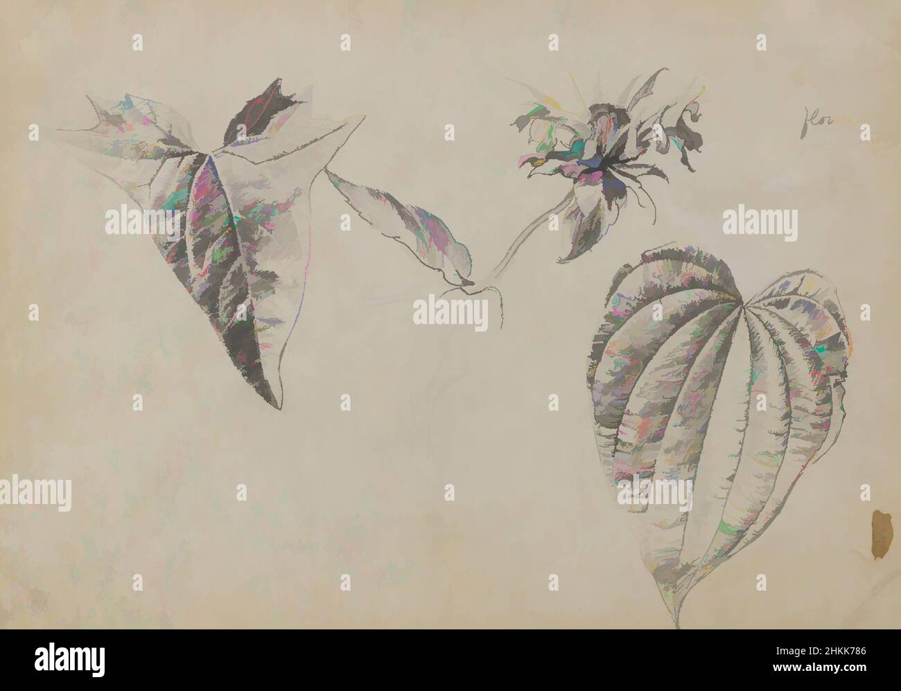 Art Inspired by Plant Study, William Trost Richards, American, 1833-1905, Graphit auf Beige, Mäßig dickes, leicht strukturiertes Wove-Papier, August 1860, Blatt: 5 5/8 x 8 1/16 Zoll, 14,3 x 20,5 cm, amerikanisch, botanisch, botanisch, botanisch, Zeichnung, Feine Linien, Graphit, Blätter, Pflanze, Pflanzenstudie, Klassische Werke, die von Artotop mit einem Hauch von Moderne modernisiert wurden. Formen, Farbe und Wert, auffällige visuelle Wirkung auf Kunst. Emotionen durch Freiheit von Kunstwerken auf zeitgemäße Weise. Eine zeitlose Botschaft, die eine wild kreative neue Richtung verfolgt. Künstler, die sich dem digitalen Medium zuwenden und die Artotop NFT erschaffen Stockfoto Art Inspired by Plant Study, William Trost Richards, American, 1833-1905, Graphit auf Beige, Mäßig dickes, leicht strukturiertes Wove-Papier, August 1860, Blatt: 5 5/8 x 8 1/16 Zoll, 14,3 x 20,5 cm, amerikanisch, botanisch, botanisch, botanisch, Zeichnung, Feine Linien, Graphit, Blätter, Pflanze, Pflanzenstudie, Klassische Werke, die von Artotop mit einem Hauch von Moderne modernisiert wurden. Formen, Farbe und Wert, auffällige visuelle Wirkung auf Kunst. Emotionen durch Freiheit von Kunstwerken auf zeitgemäße Weise. Eine zeitlose Botschaft, die eine wild kreative neue Richtung verfolgt. Künstler, die sich dem digitalen Medium zuwenden und die Artotop NFT erschaffen Stockfoto