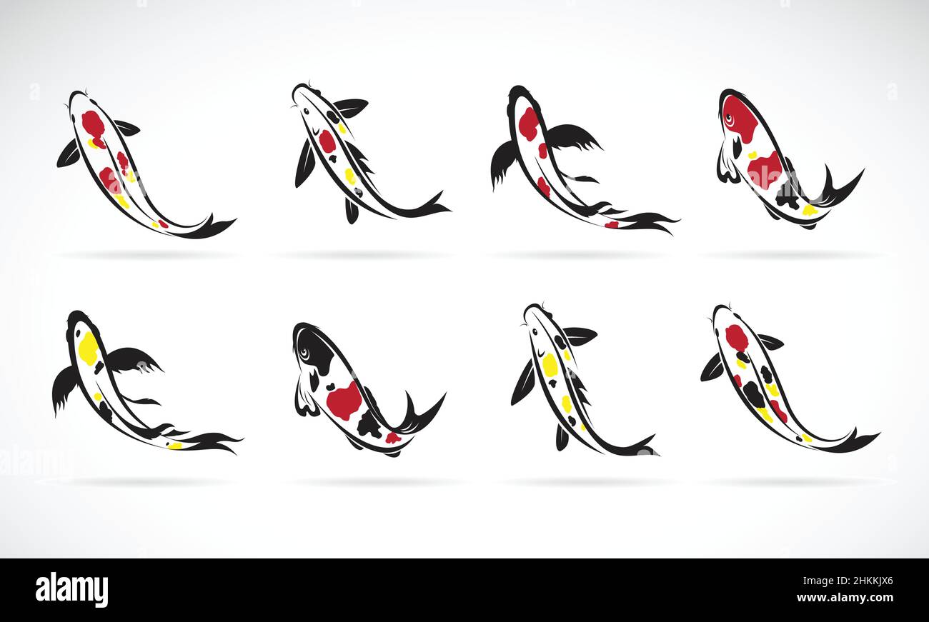 Vektor von Karpfen Koi Fisch isoliert auf weißem Hintergrund. Haustier. Leicht editierbare Vektorgrafik mit Ebenen. Stock Vektor