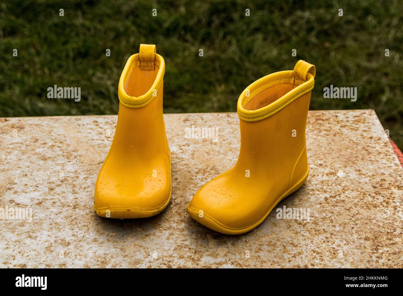 Nahaufnahme einer gelben Gummistiefel für Kinder auf einer Steinbank im Garten Stockfoto