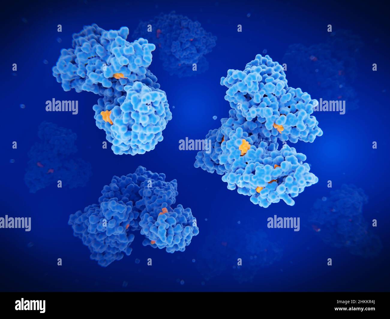 Humanserum-Albumin-Proteine, Abbildung Stockfoto