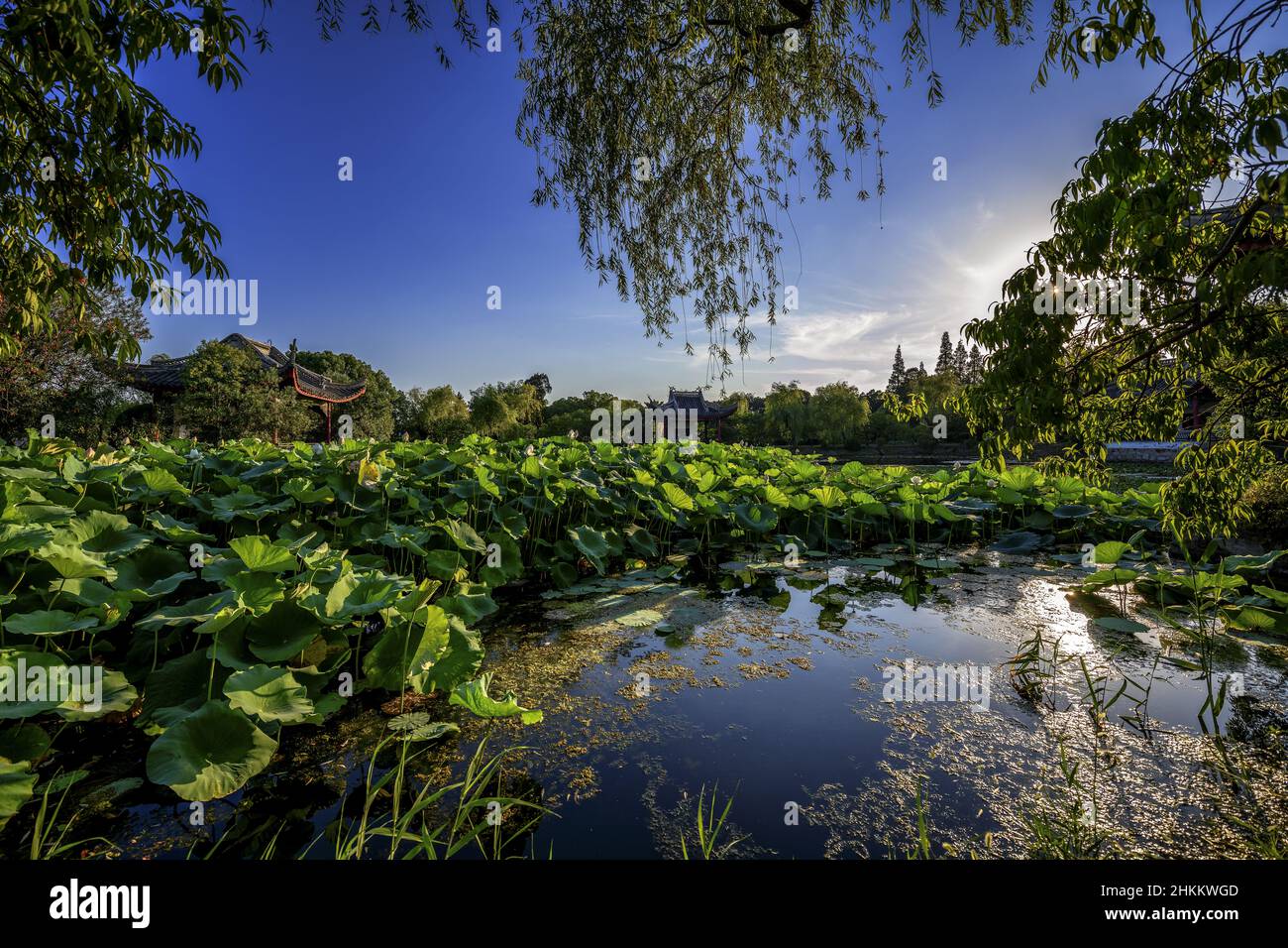 Klassischer chinesischer Garten in Wuxi, Provinz Jiangsu, China. Stockfoto