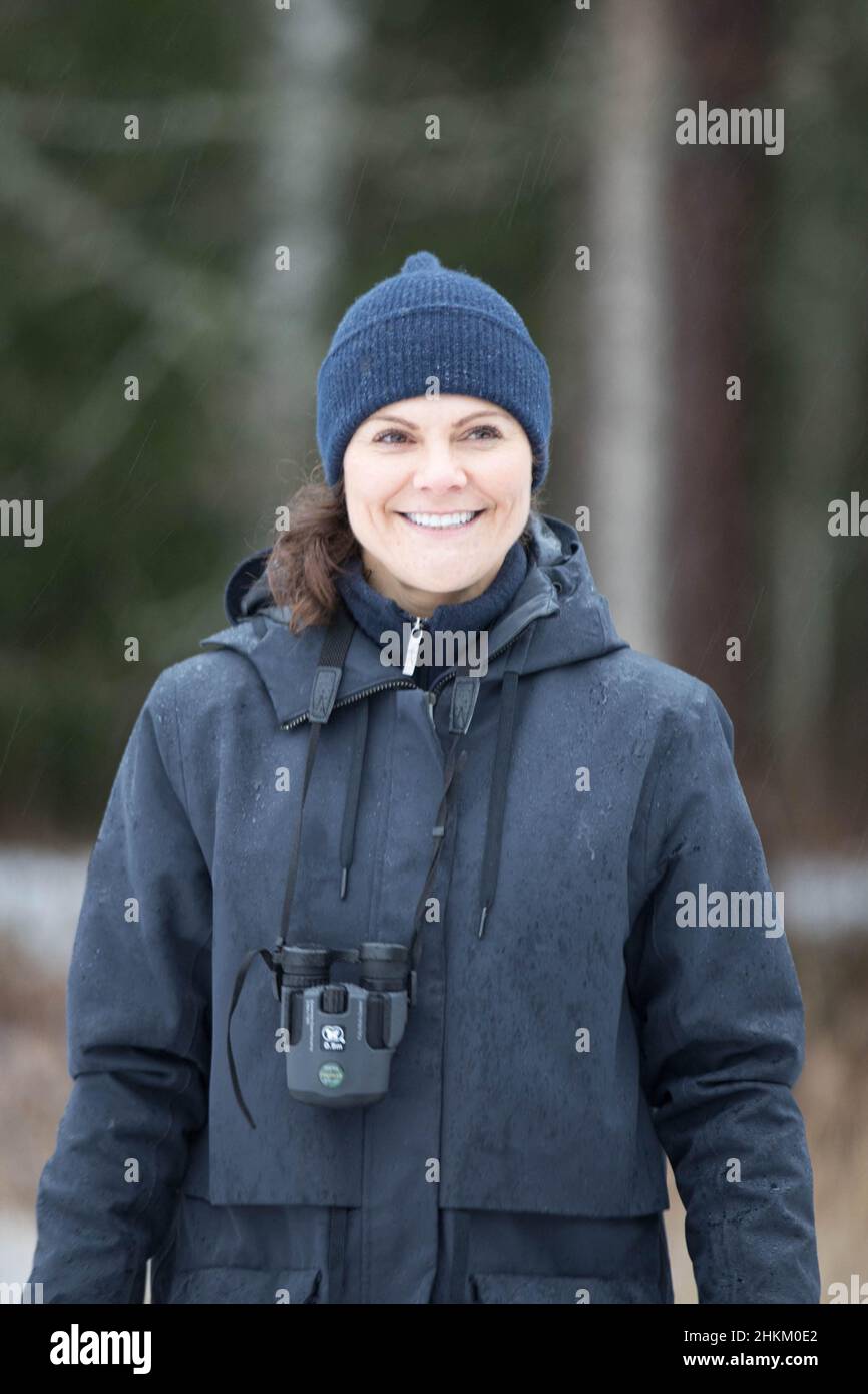 Gavleborg County, Schweden. 04th. Februar 2022. Kronprinzessin Victoria von Schweden besucht am 04. Februar 2022 den Farnebofjarden-Nationalpark in Gavleborg, Schweden. Foto von Keith Ronnberg/Stella Pictures/ABACAPRESS.COM Quelle: Abaca Press/Alamy Live News Stockfoto