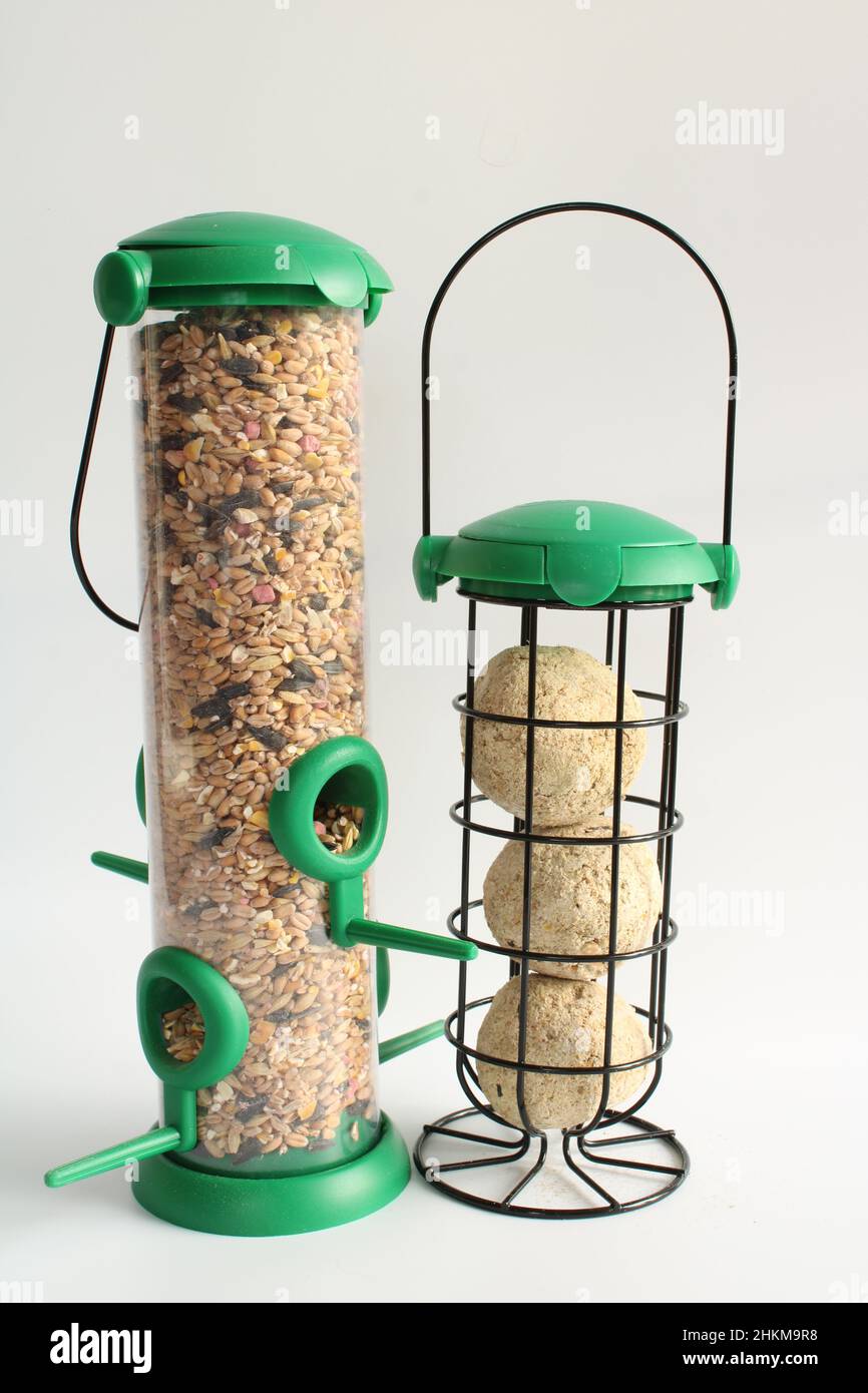 Vogelfutterhäuschen, ein Vogelfutterhäuschen gefüllt mit Samen und das andere Vogelfutterhäuschen gefüllt mit fetten Kugeln isoliert auf einfachem Hintergrund mit Kopierraum Stockfoto