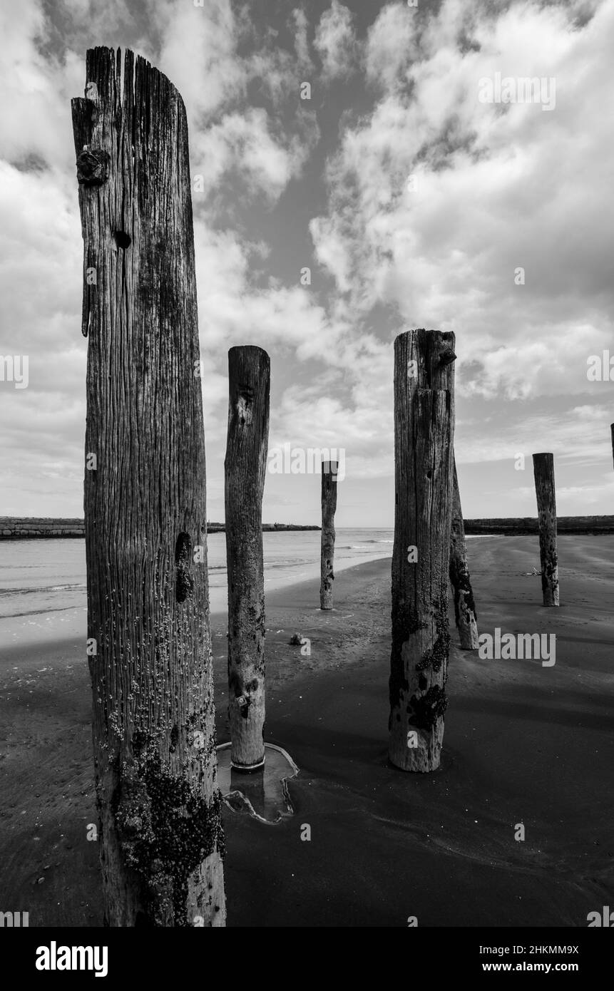 Wooden Posts, Neuseeland Stockfoto