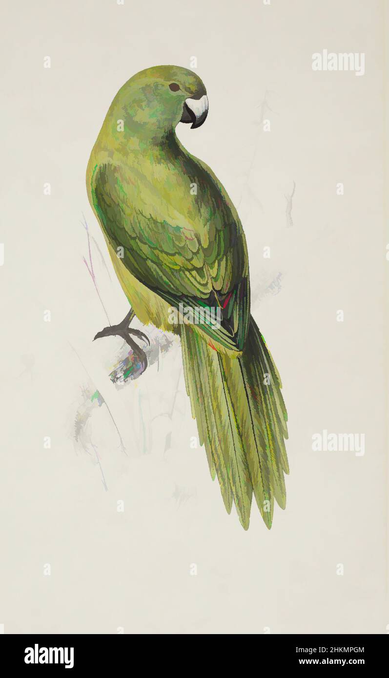 Kunst inspiriert von Platycercus unicolor. Uniform Sittich, Edward Lear, Künstler, 1830-1832, Lithographie, Klassische Werke, die von Artotop mit einem Hauch von Moderne modernisiert wurden. Formen, Farbe und Wert, auffällige visuelle Wirkung auf Kunst. Emotionen durch Freiheit von Kunstwerken auf zeitgemäße Weise. Eine zeitlose Botschaft, die eine wild kreative neue Richtung verfolgt. Künstler, die sich dem digitalen Medium zuwenden und die Artotop NFT erschaffen Stockfoto