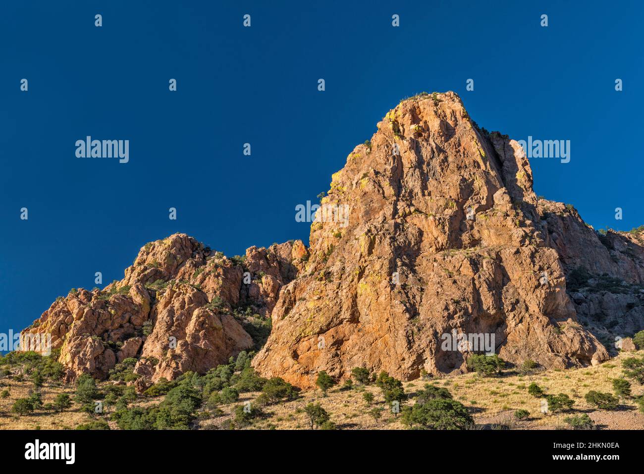 Rhyolithische Klippen über Sunny Flat Campground, bei Sonnenuntergang, Cave Creek Canyon, Coronado National Forest, Chiricahua Mountains, In der Nähe von Portal, Arizona, USA Stockfoto