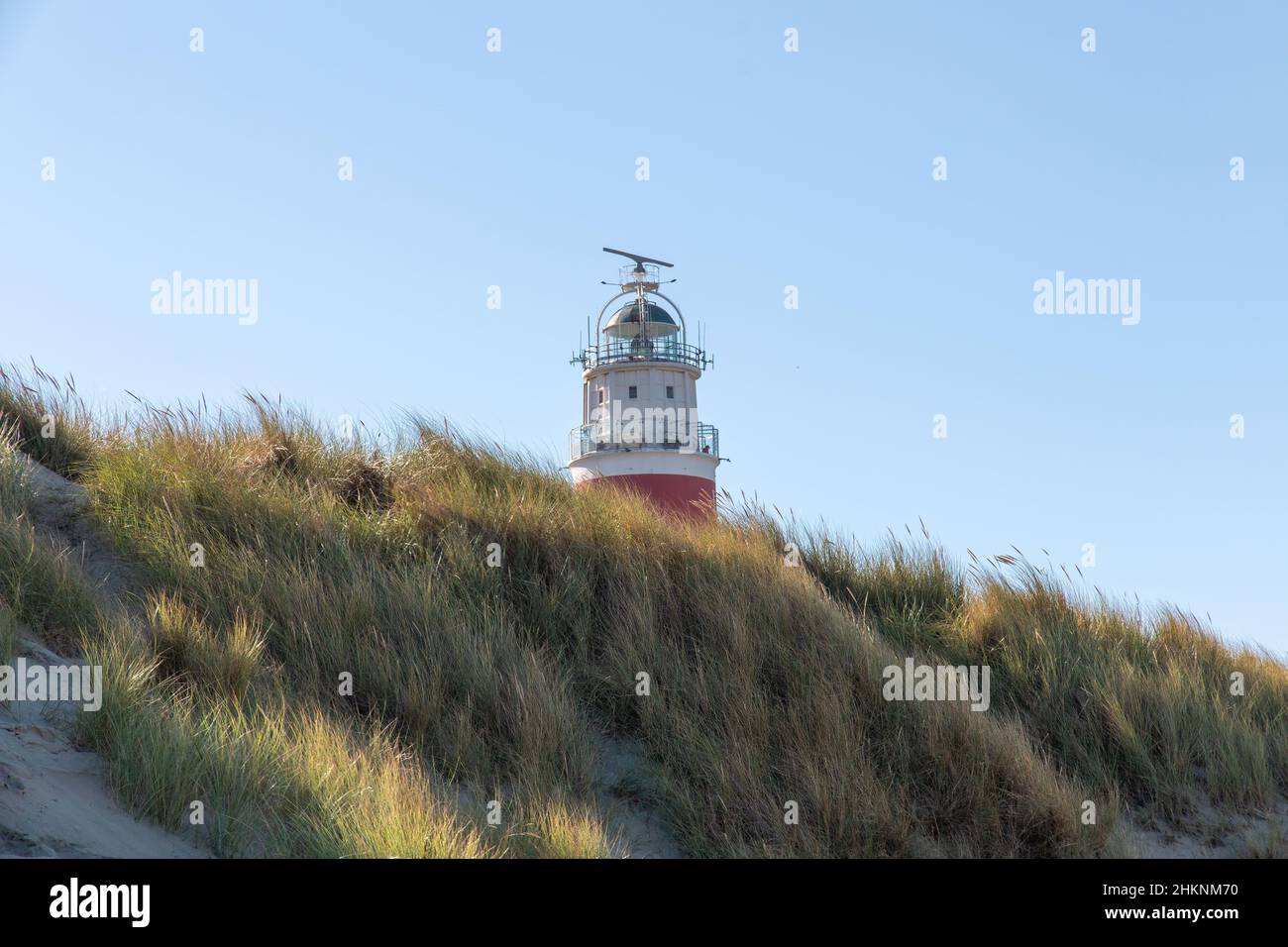 Der Leuchtturm von Texel ragt an einem schönen Tag über den Dünen in den Niederlanden mit einem klaren blauen Himmel hervor Stockfoto