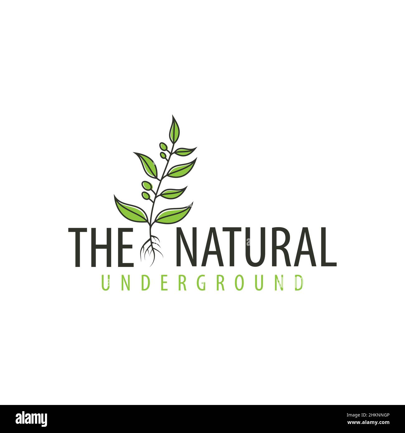 Grafische Baumlogo-Vorlage mit stilisierten Blättern, die aus wachsen, Vektordarstellung. Diese Art von Baum-Logo wird mit dem Konzept des Baumes, enviro, erweitert Stock Vektor