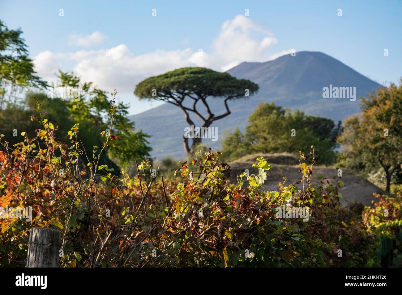 Der Vesuv von Pompeji aus gesehen Stockfoto