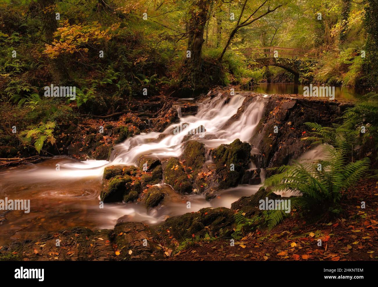 Malerische und geheimnisvolle Gebirgsbäche Irlands im Herbst Stockfoto